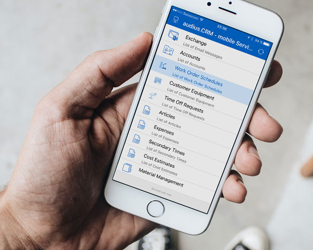 From Delays to Real-Time Execution: Impact of SAP Mobile Service