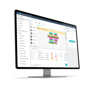 SAP FSM Beratung